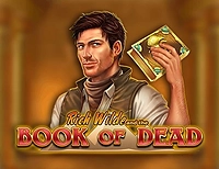 Livre ancien pour Book of Dead